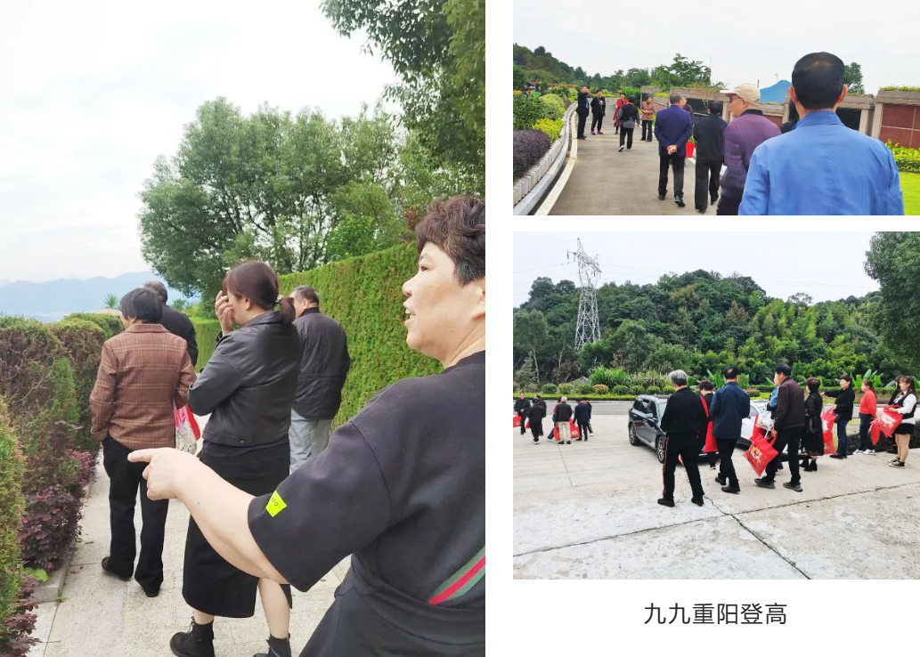 永乐高·(中国区)官方网站