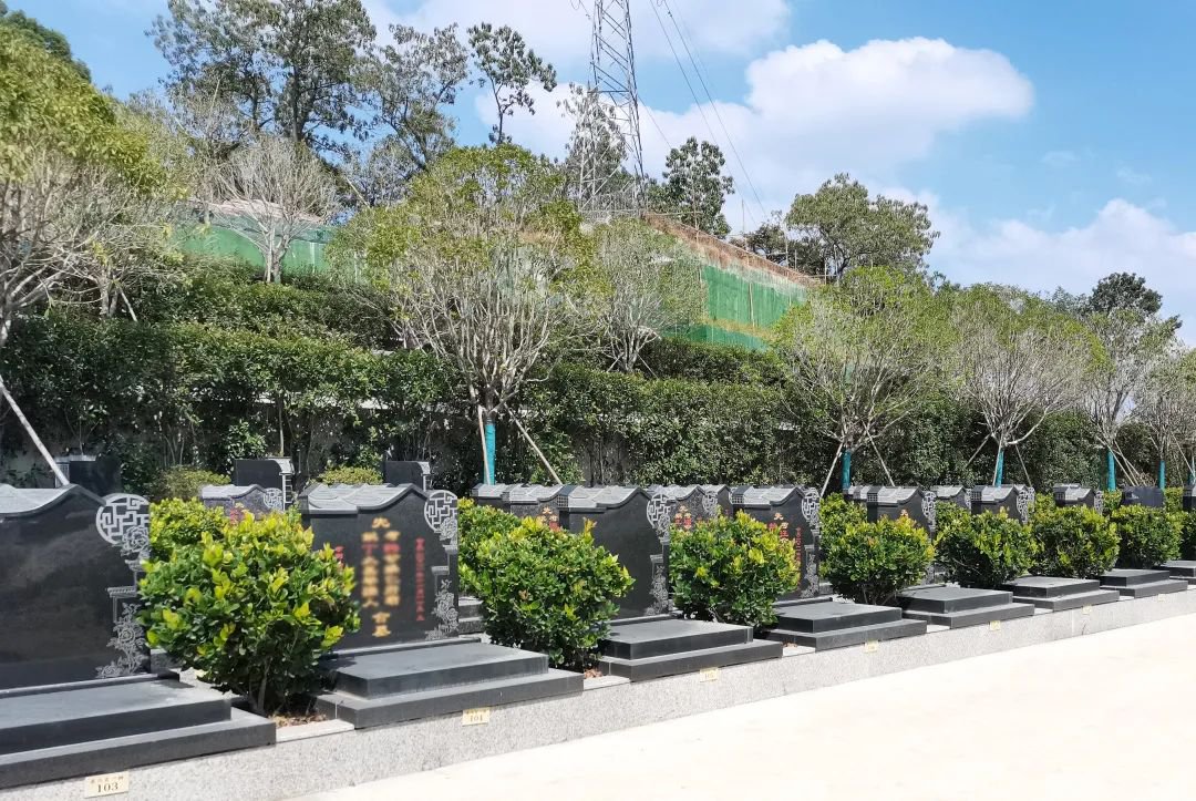 永乐高·(中国区)官方网站