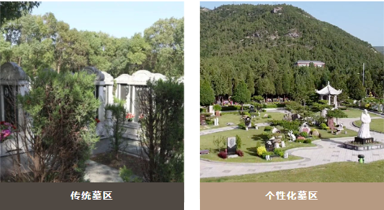 永乐高·(中国区)官方网站