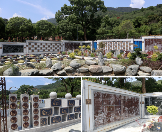 永乐高·(中国区)官方网站