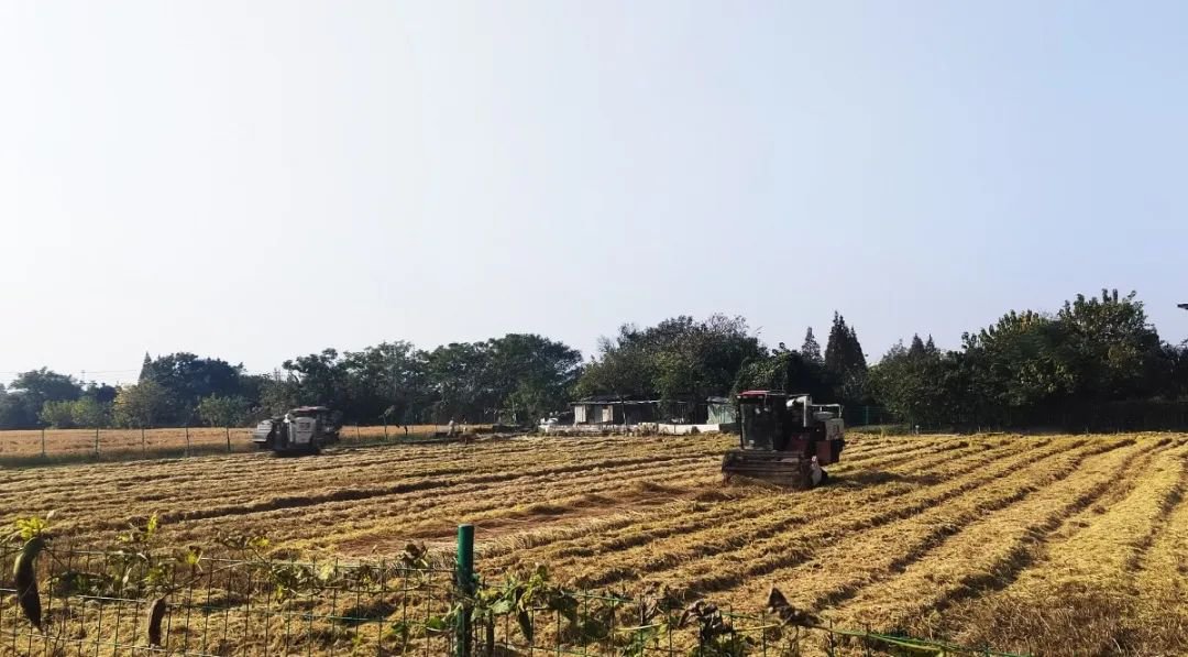 永乐高·(中国区)官方网站