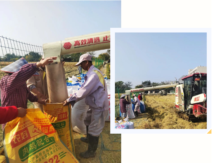 永乐高·(中国区)官方网站