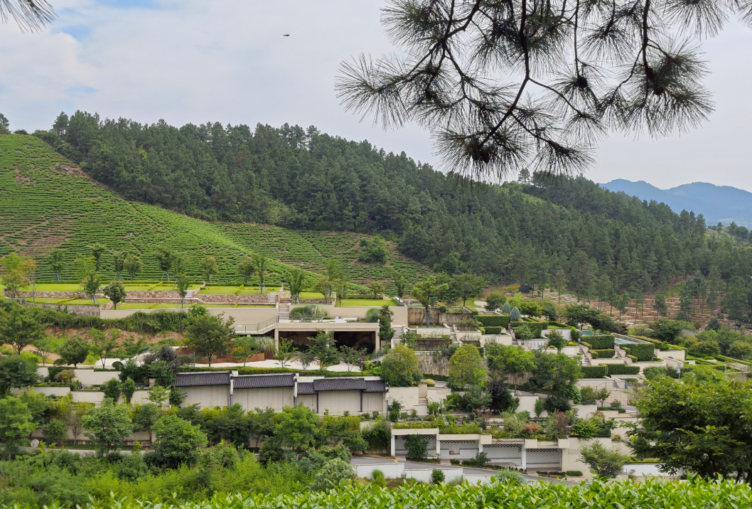 永乐高·(中国区)官方网站