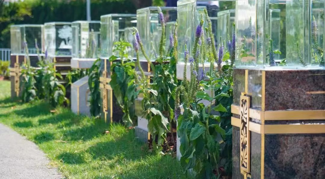 永乐高·(中国区)官方网站