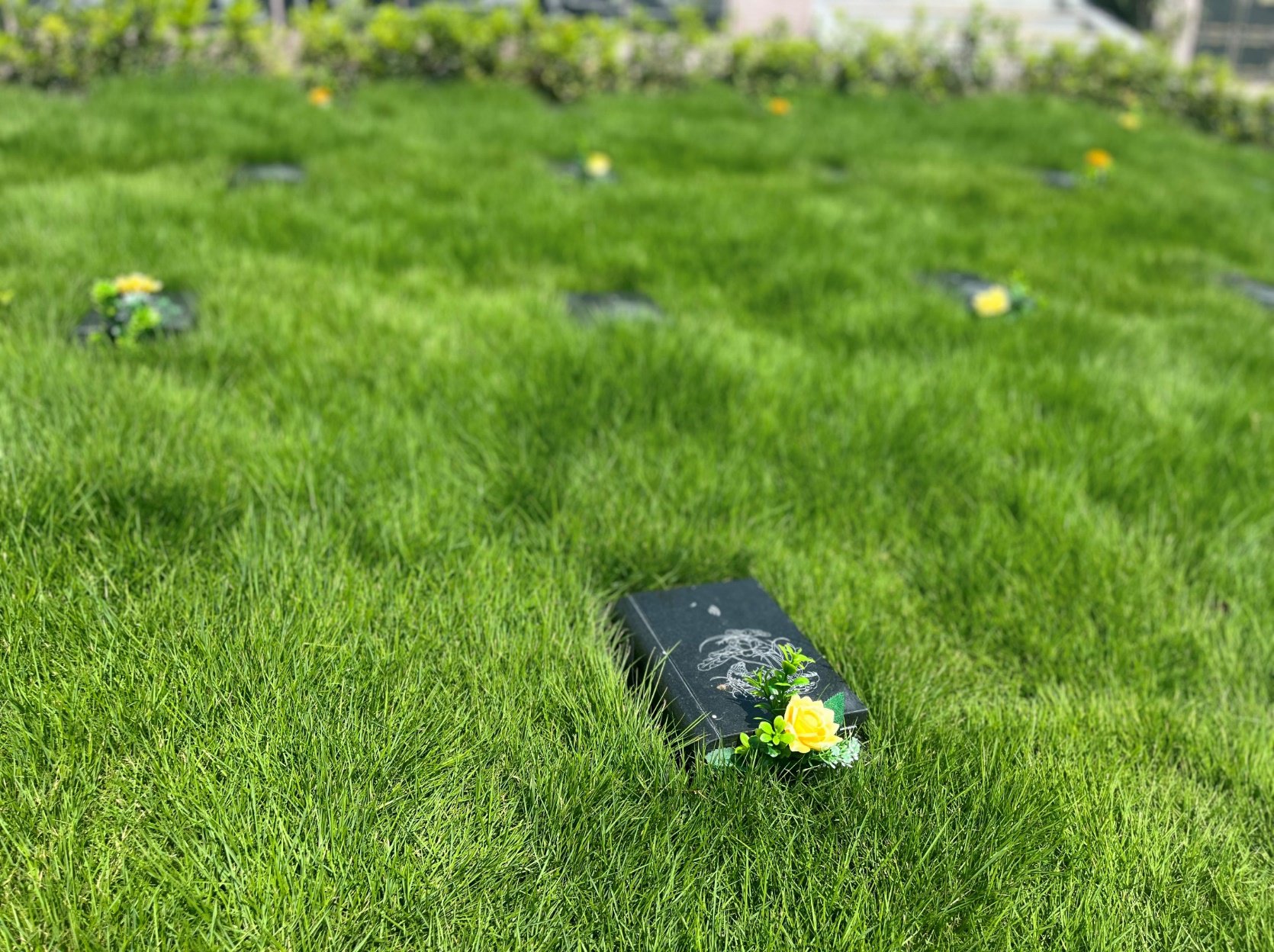 永乐高·(中国区)官方网站