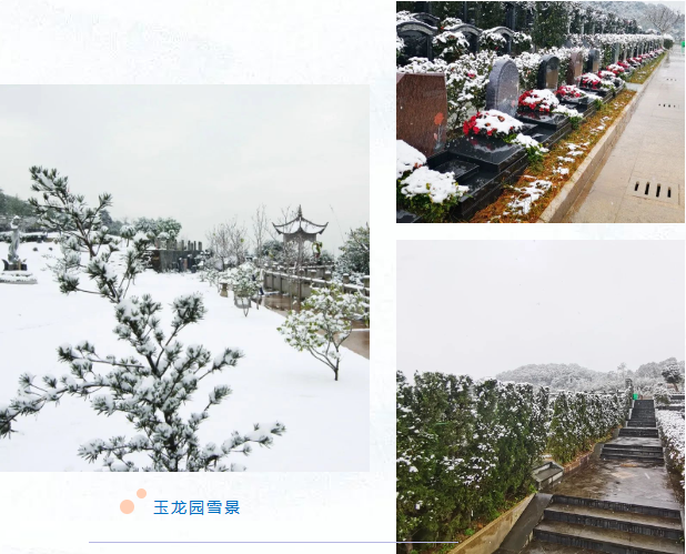 永乐高·(中国区)官方网站