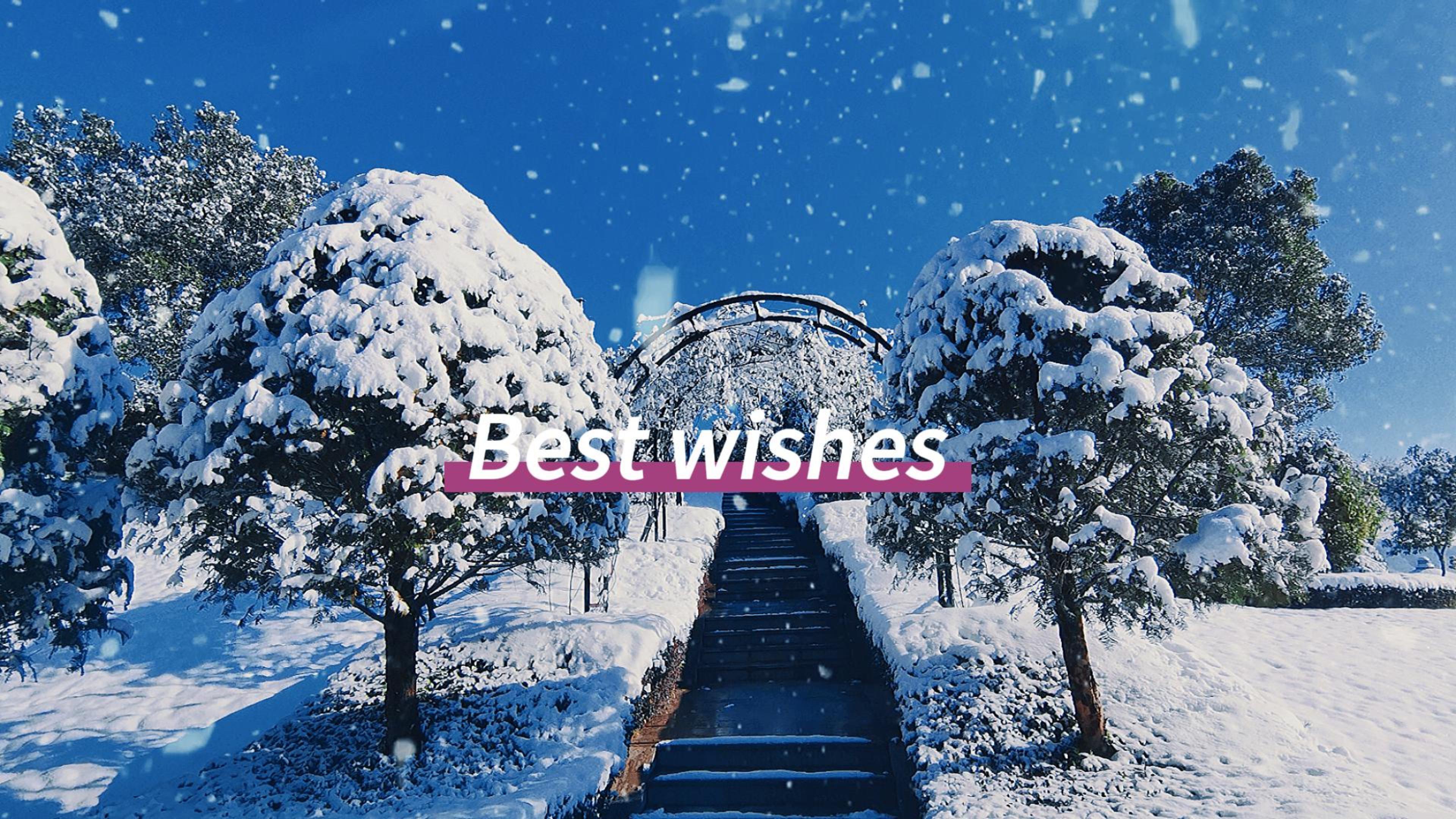 永乐高·(中国区)官方网站