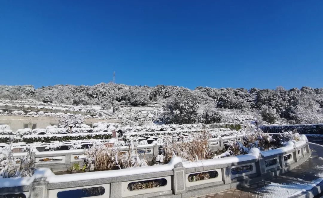 永乐高·(中国区)官方网站