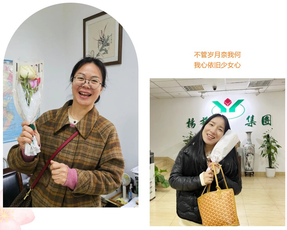 永乐高·(中国区)官方网站