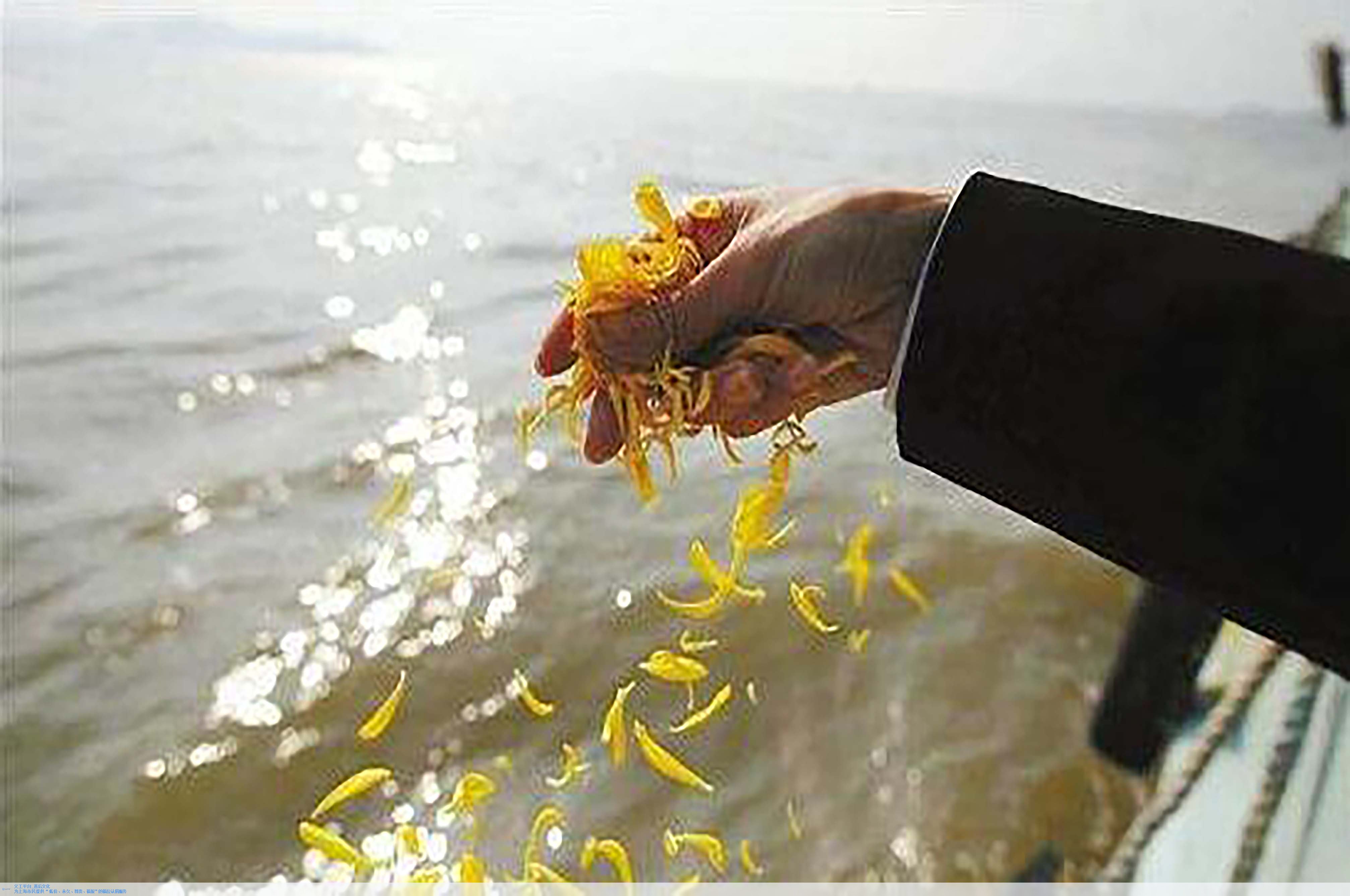 永乐高·(中国区)官方网站