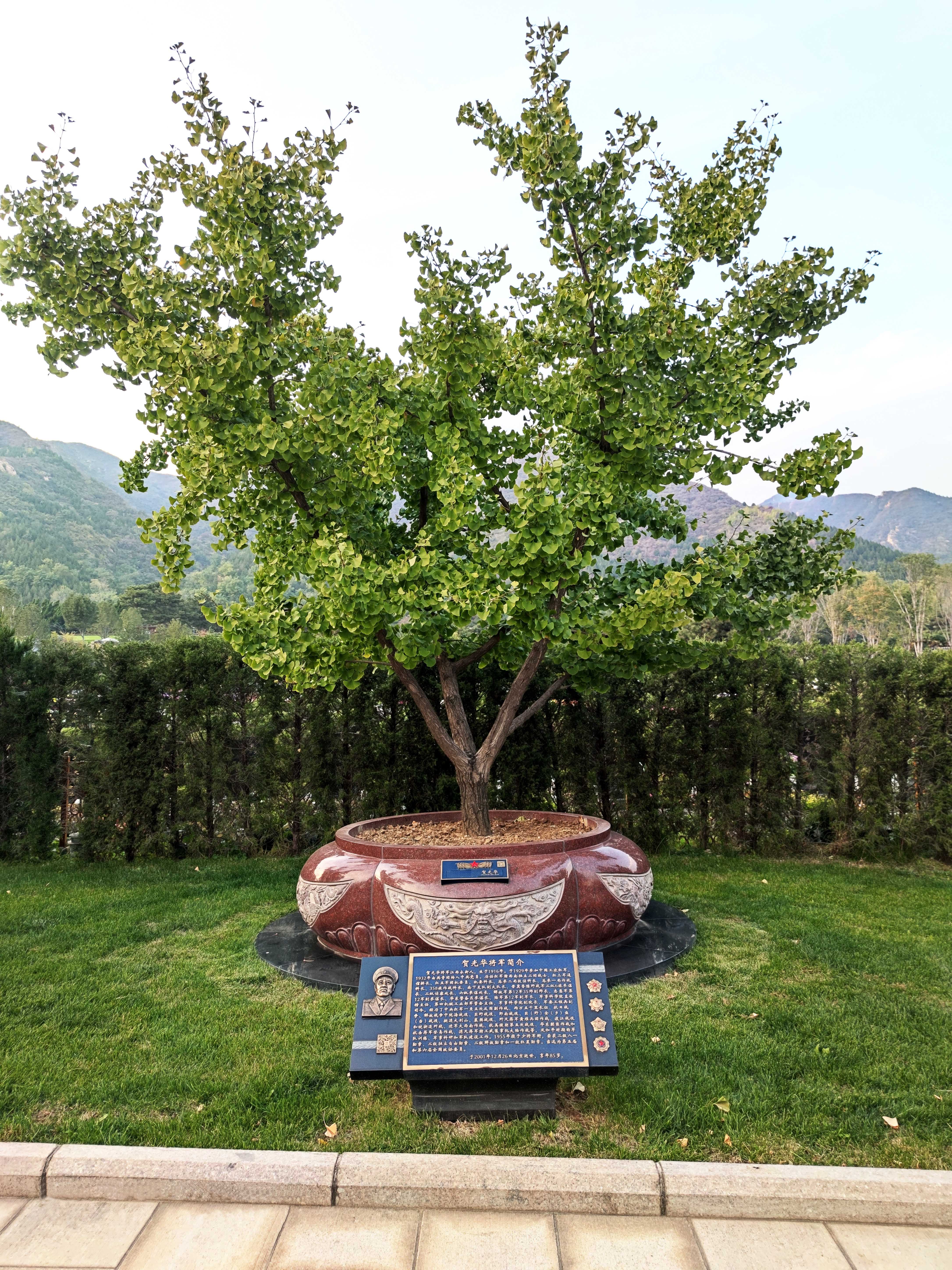 永乐高·(中国区)官方网站