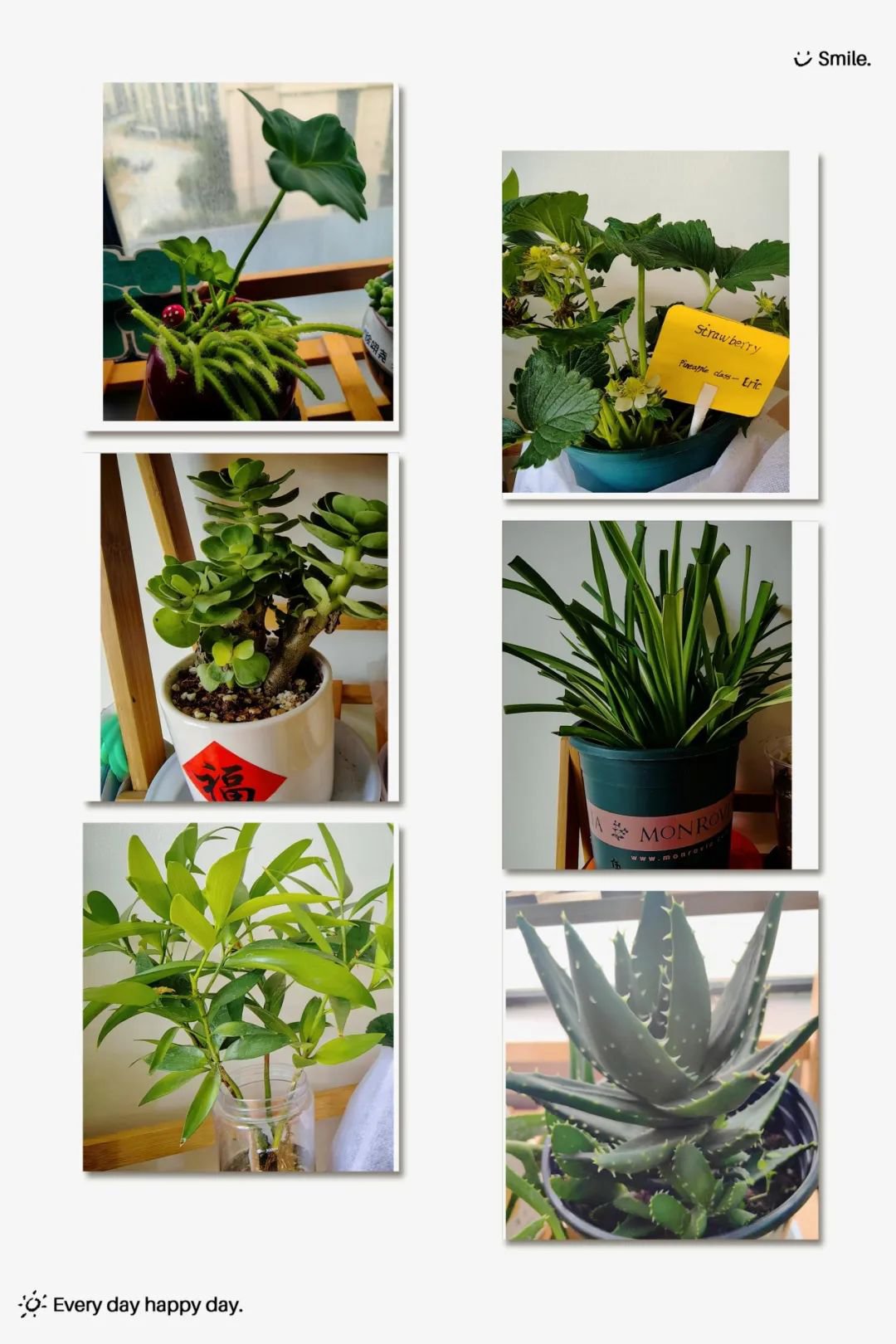 永乐高·(中国区)官方网站