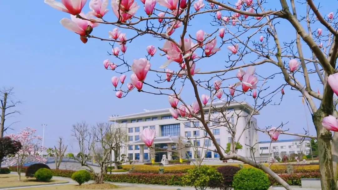 永乐高·(中国区)官方网站