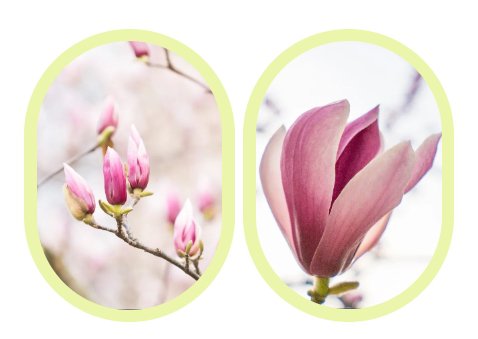 永乐高·(中国区)官方网站