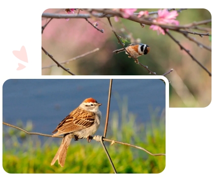 永乐高·(中国区)官方网站