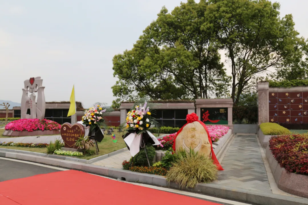 永乐高·(中国区)官方网站