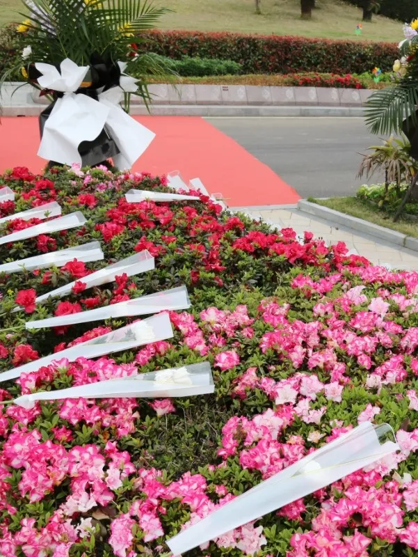 永乐高·(中国区)官方网站