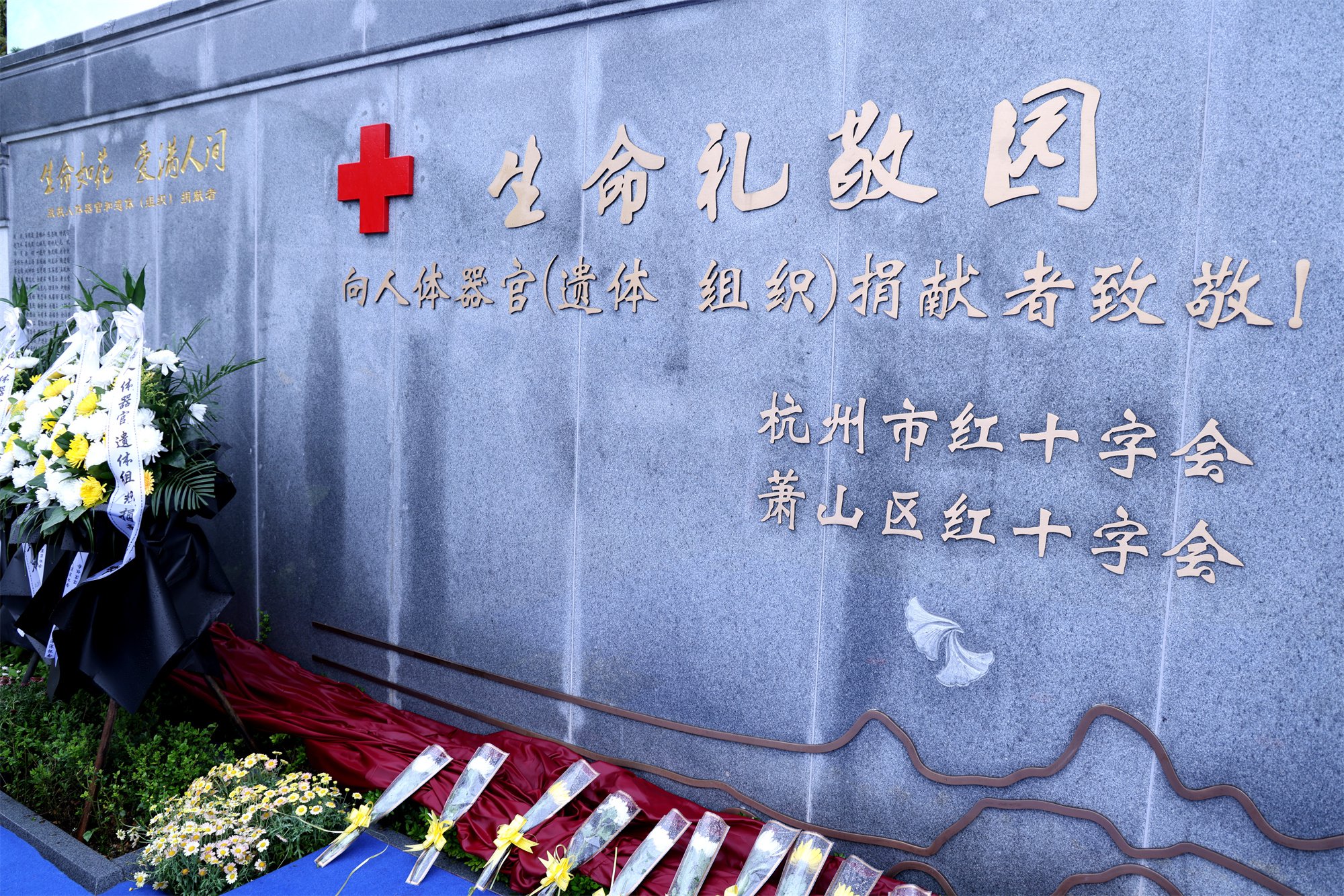 永乐高·(中国区)官方网站