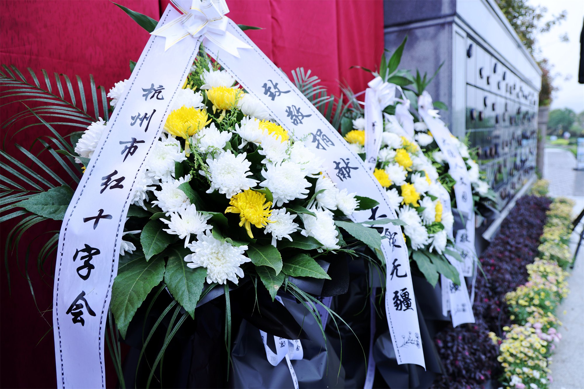 永乐高·(中国区)官方网站