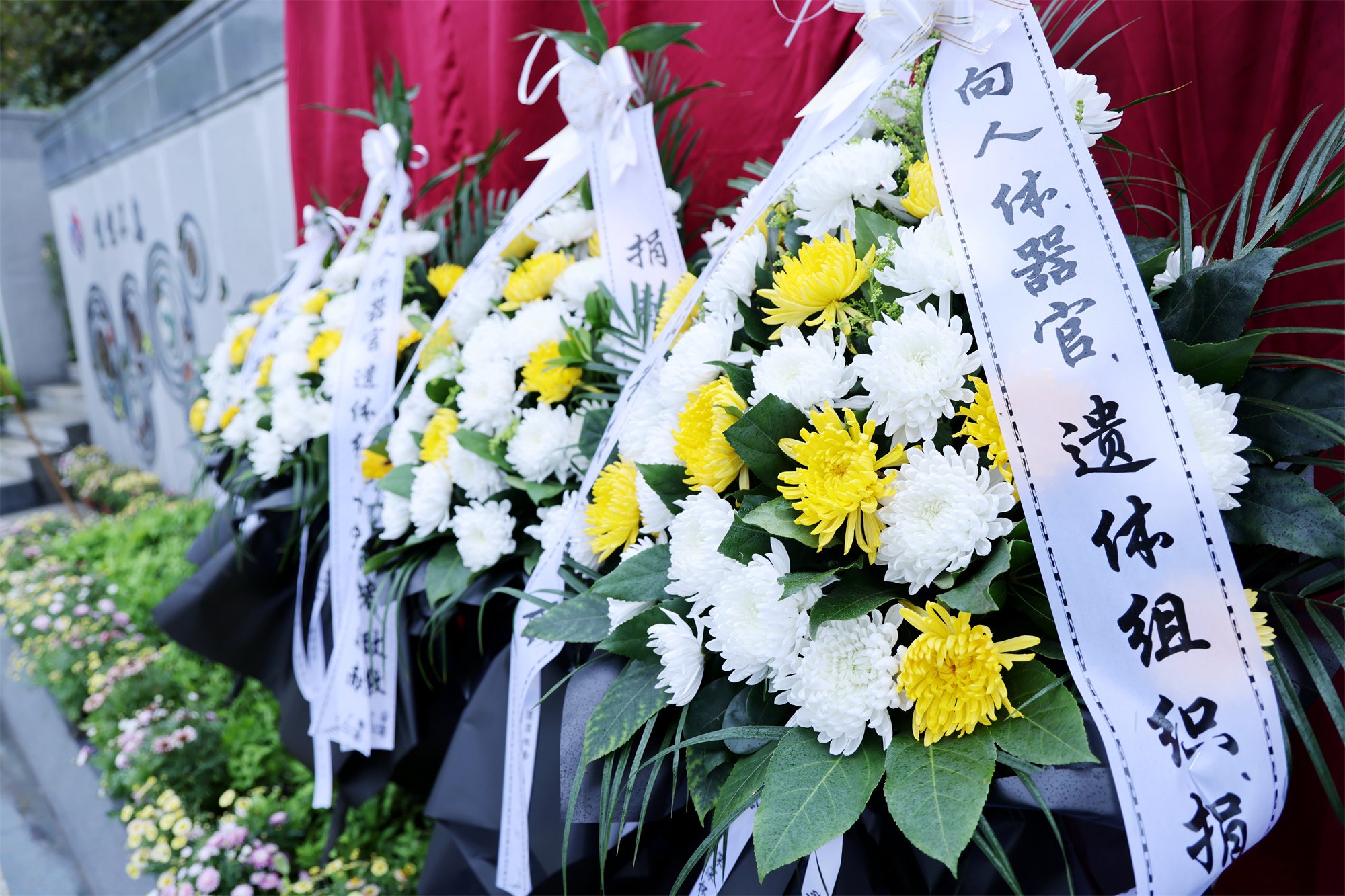 永乐高·(中国区)官方网站