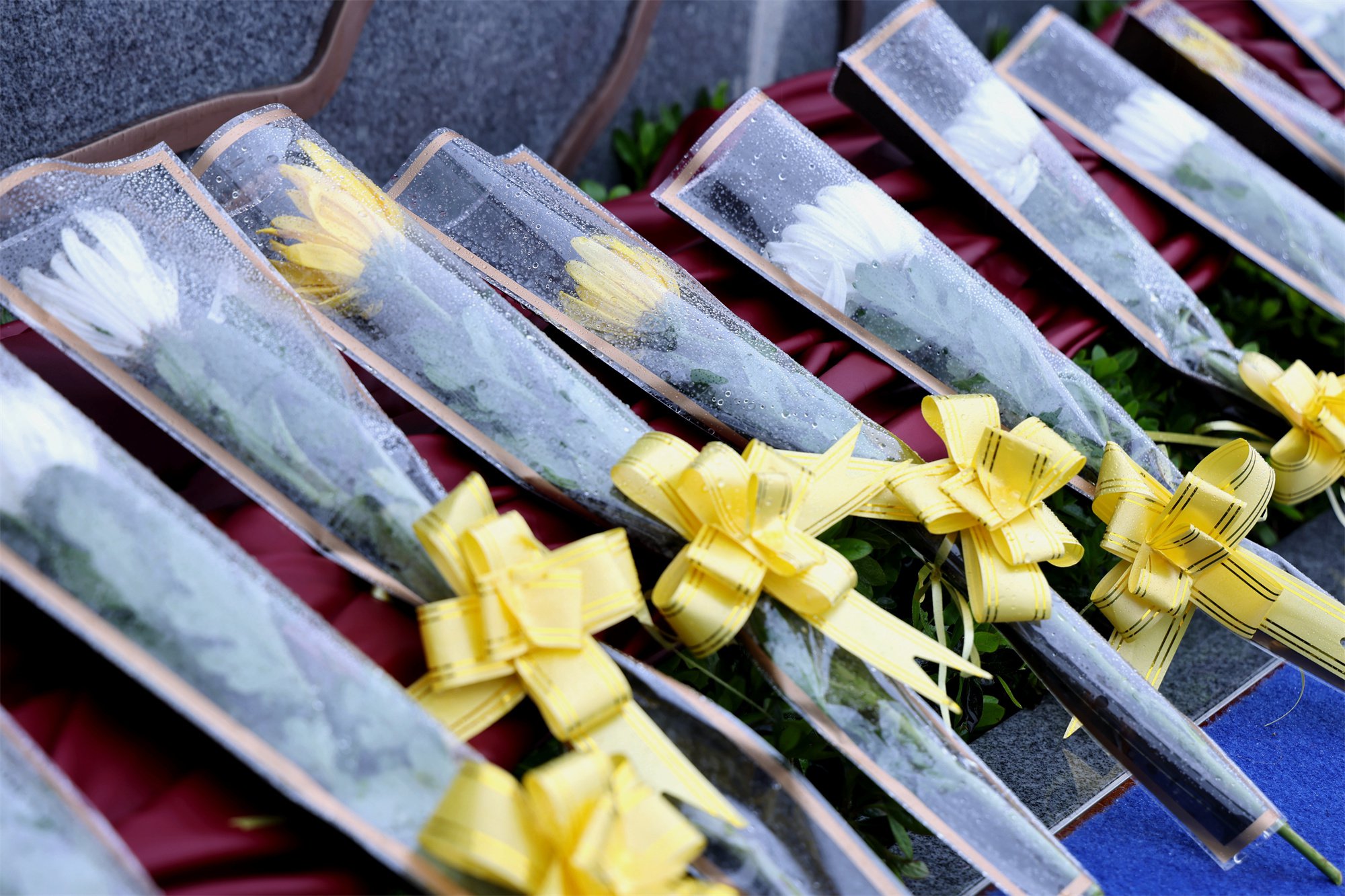 永乐高·(中国区)官方网站