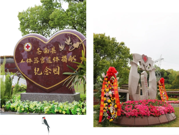 永乐高·(中国区)官方网站