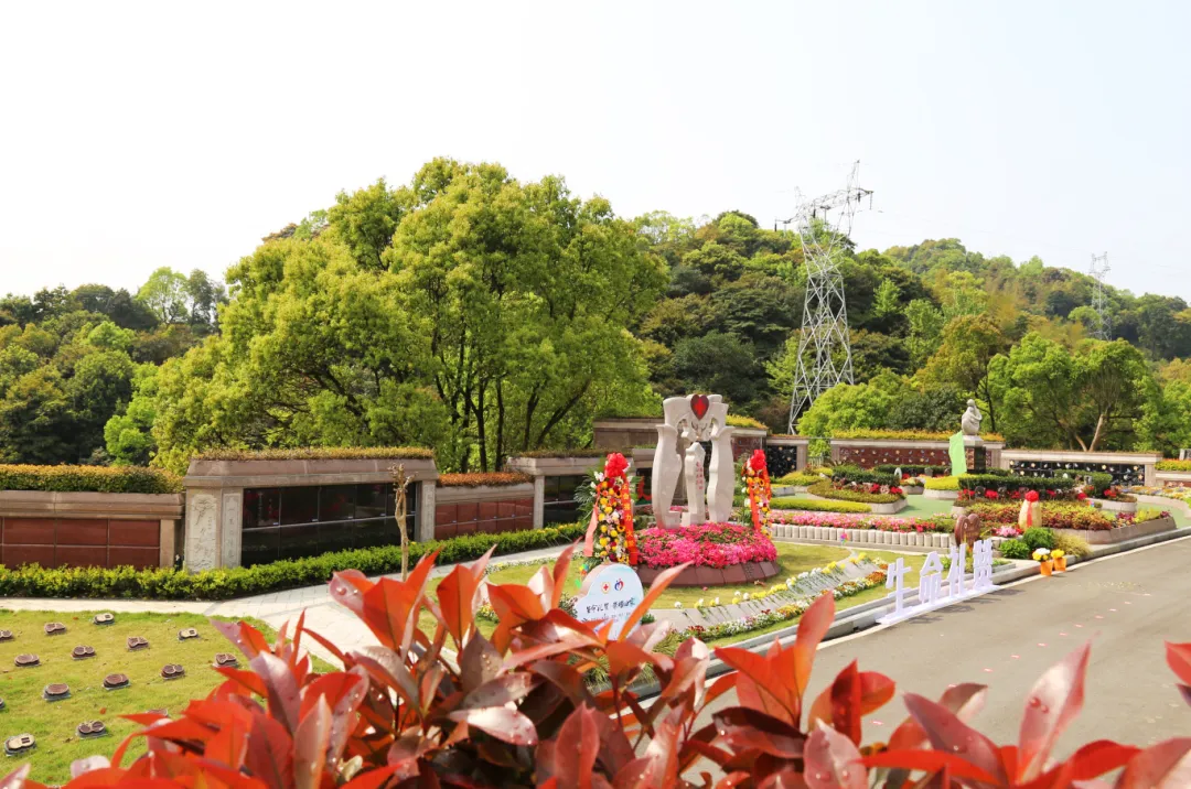 永乐高·(中国区)官方网站