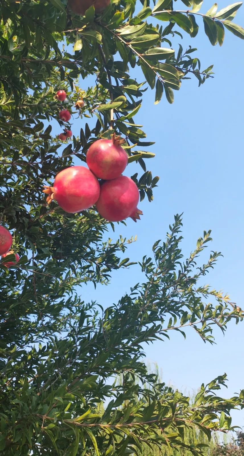 永乐高·(中国区)官方网站