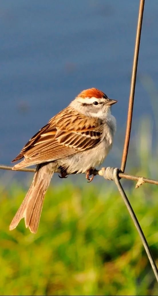 永乐高·(中国区)官方网站