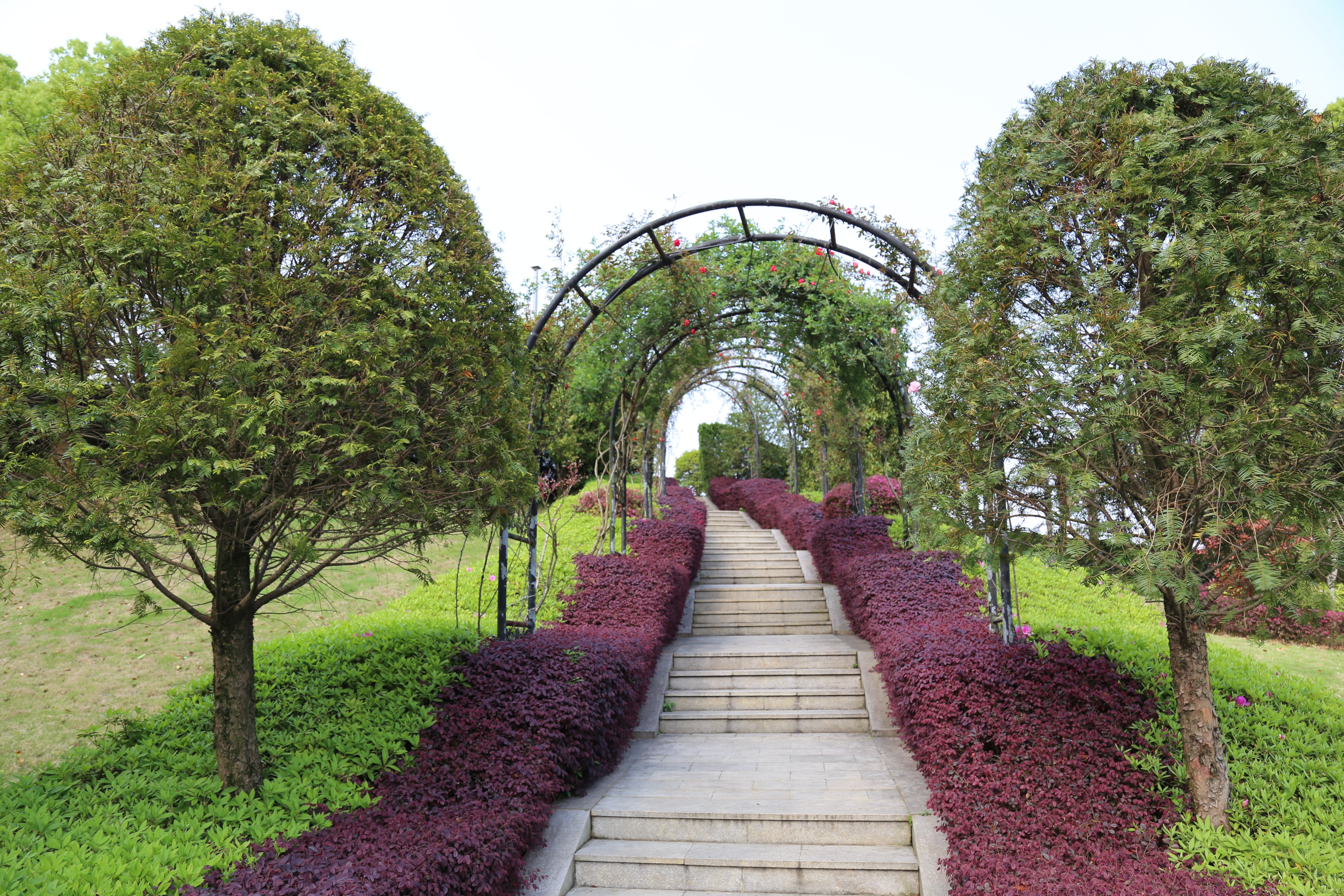 永乐高·(中国区)官方网站