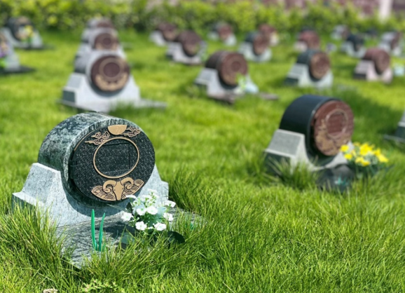 永乐高·(中国区)官方网站