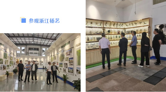 永乐高·(中国区)官方网站