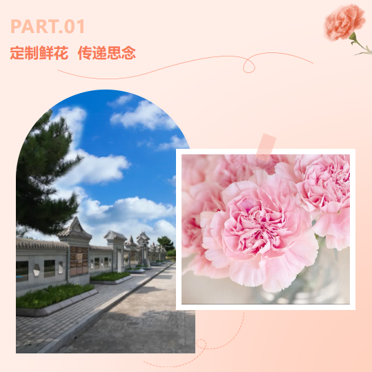 永乐高·(中国区)官方网站