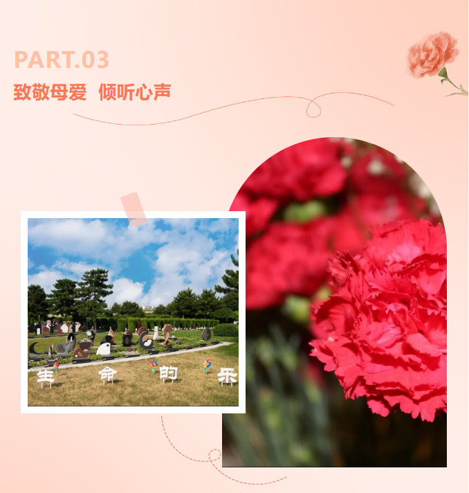 永乐高·(中国区)官方网站