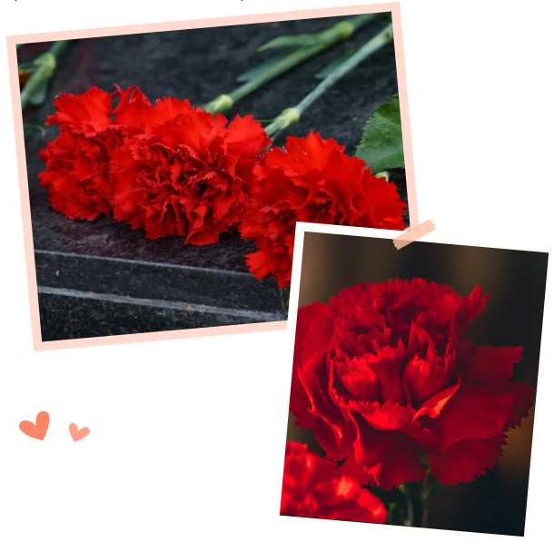 永乐高·(中国区)官方网站