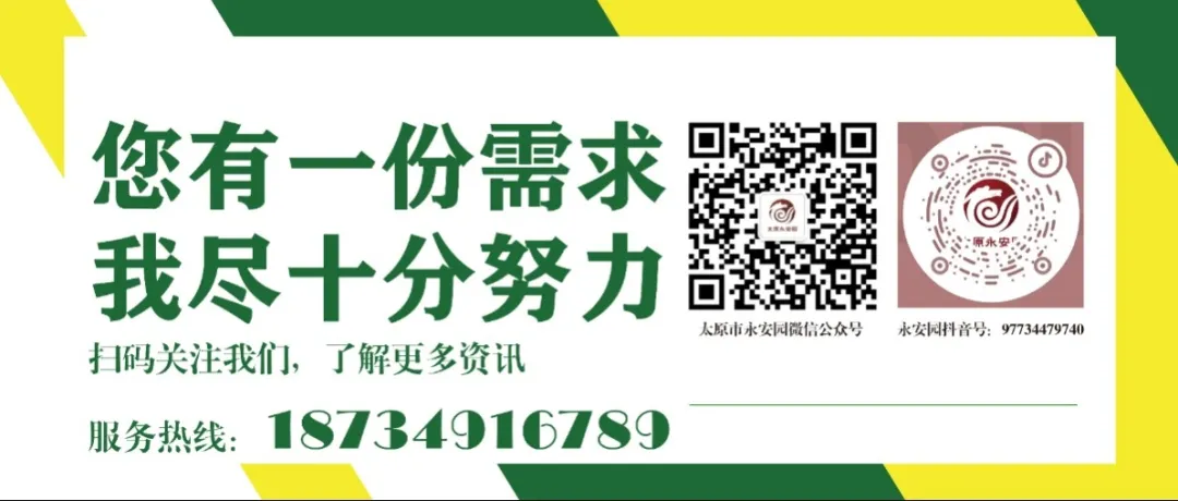 永乐高·(中国区)官方网站