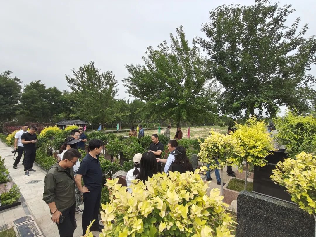 永乐高·(中国区)官方网站