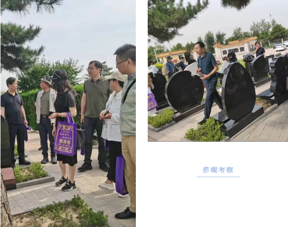 永乐高·(中国区)官方网站