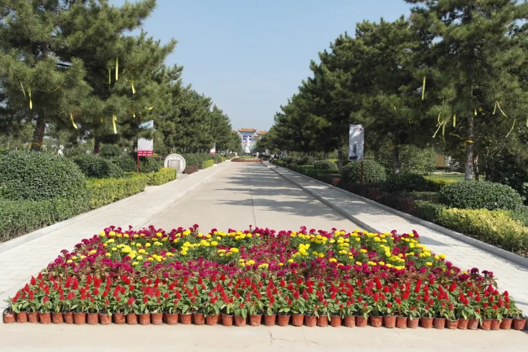 永乐高·(中国区)官方网站