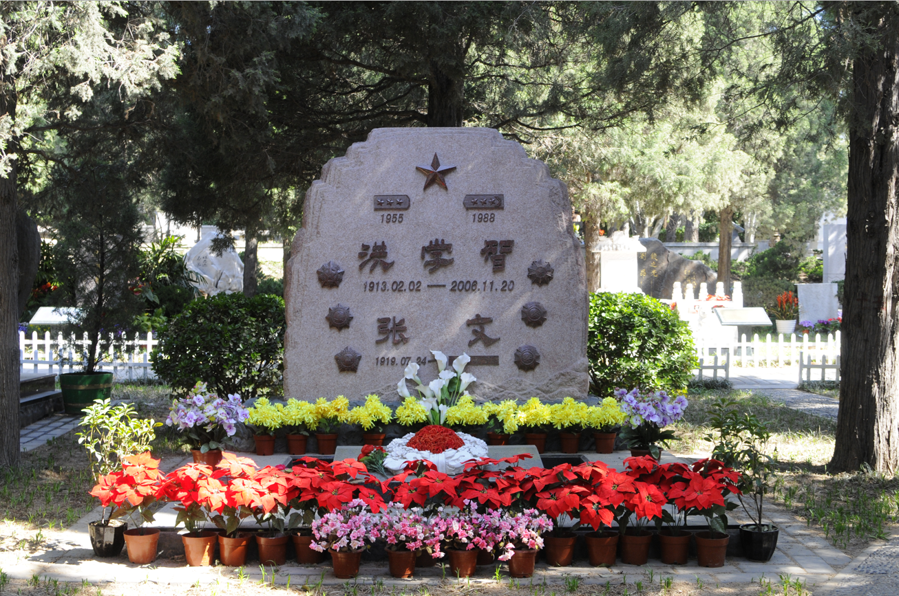 永乐高·(中国区)官方网站