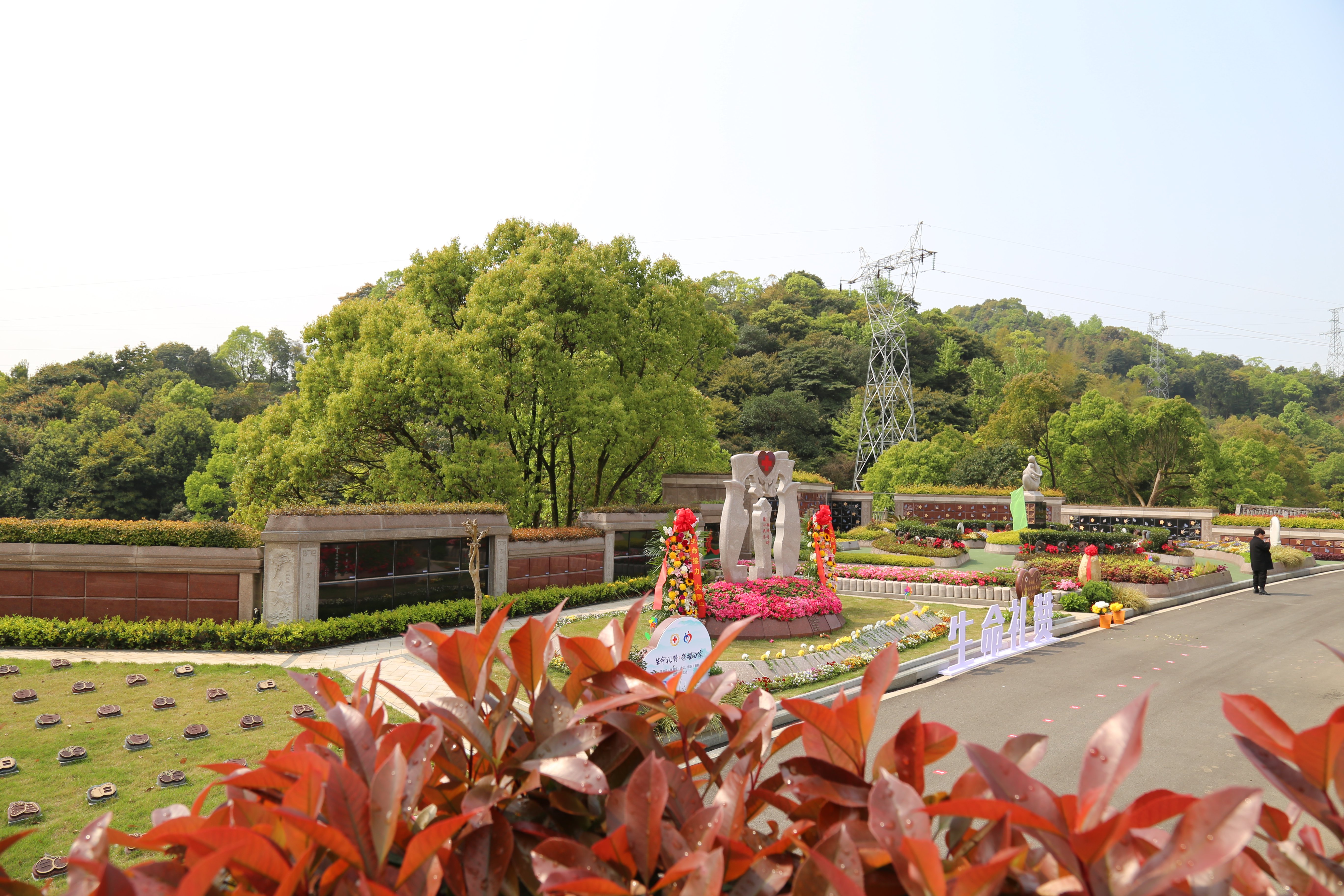 永乐高·(中国区)官方网站