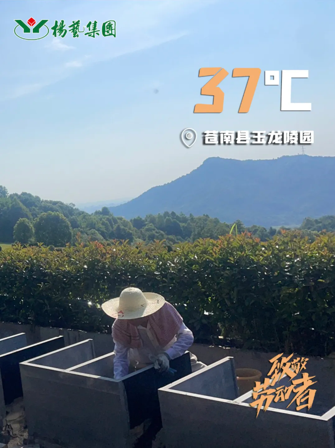 永乐高·(中国区)官方网站