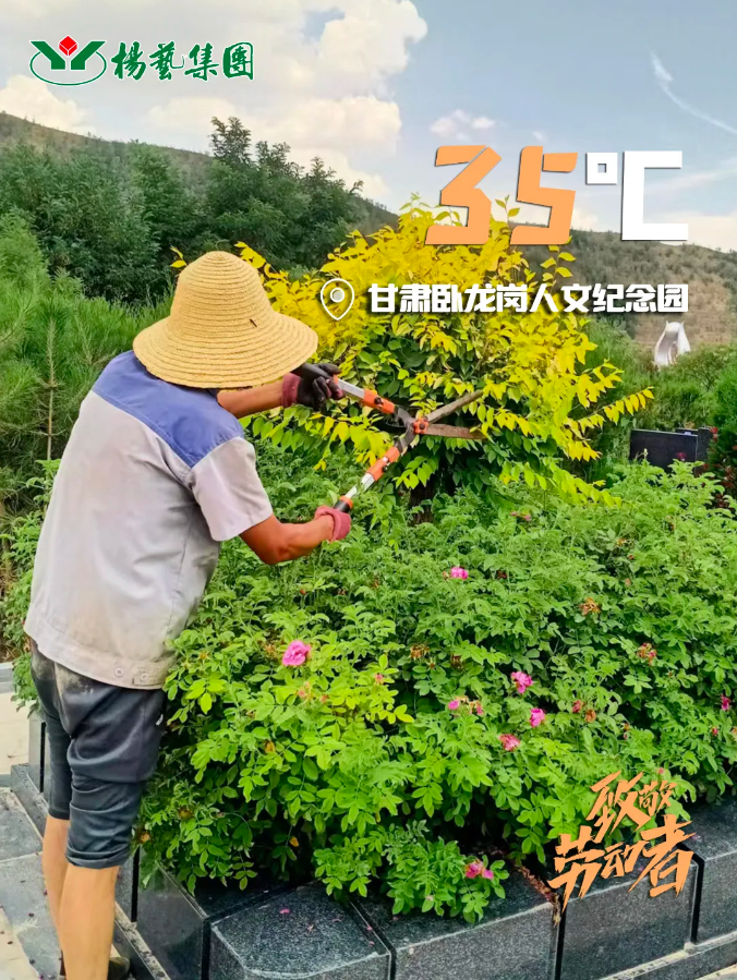 永乐高·(中国区)官方网站