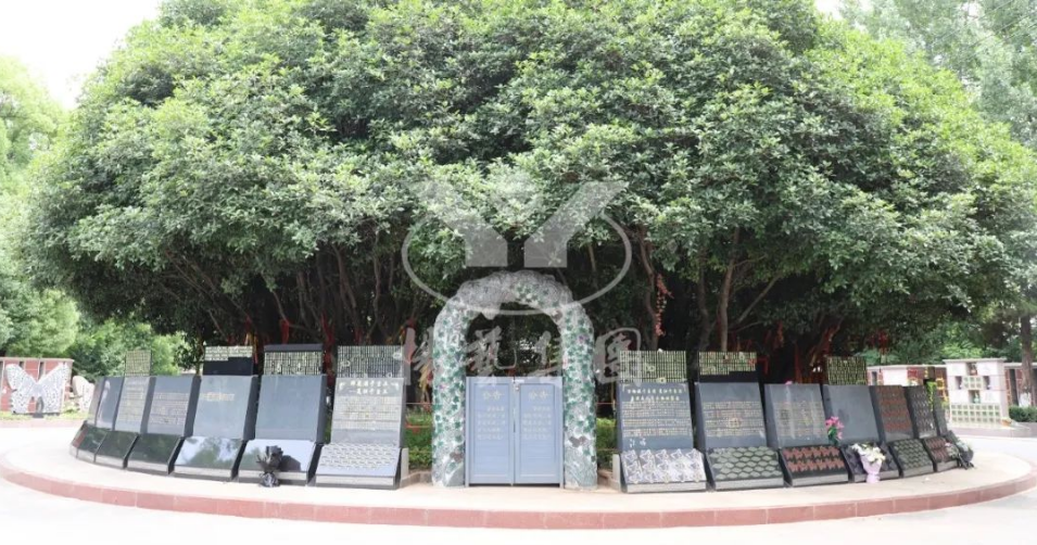 永乐高·(中国区)官方网站