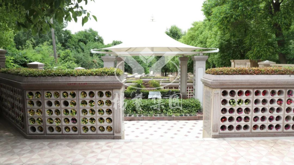 永乐高·(中国区)官方网站