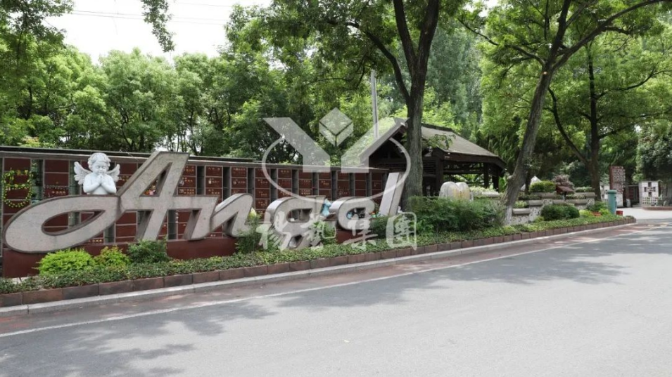 永乐高·(中国区)官方网站