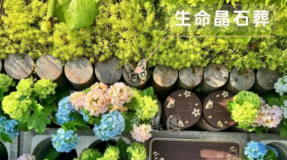 永乐高·(中国区)官方网站