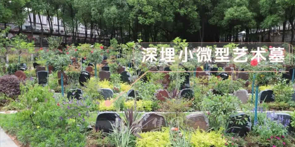 永乐高·(中国区)官方网站