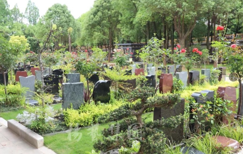 永乐高·(中国区)官方网站