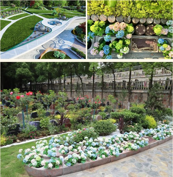 永乐高·(中国区)官方网站